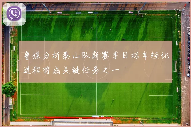 鲁媒分析泰山队新赛季目标年轻化进程将成关键任务之一